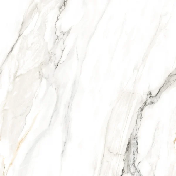 Alient Carrara