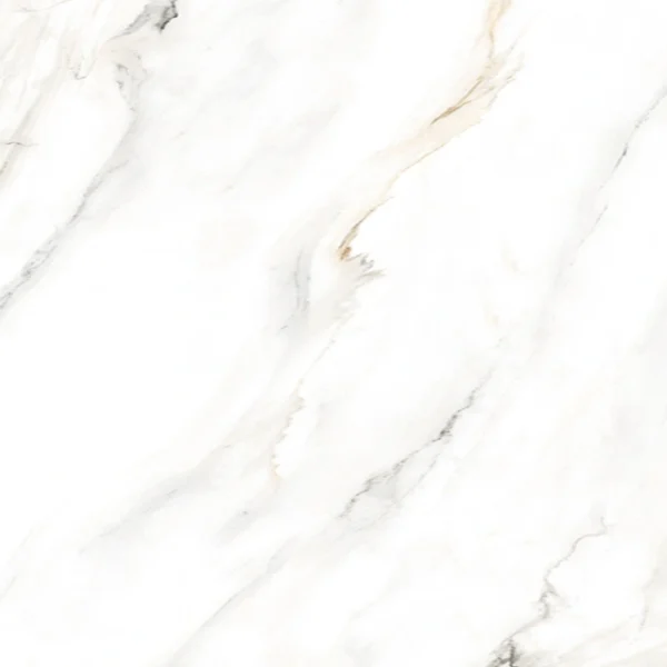 Alient Carrara