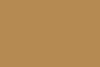 champagne_bronze_background_336x225 Champagne bronze background 336x225